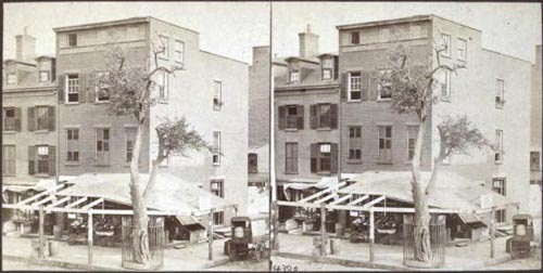 The last tree of Stuyvesant's estate, and the last living connection to New Amsterdam at 13th Street and 3rd Avenue in the 1860's, soon before it died.  Note the large protective fence.